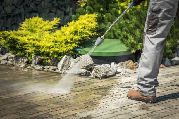 Best Winterizing Services  in Temple, TX
